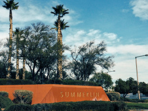 Summerlin Homes for Sale in Las Vegas